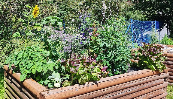 ASB_Löbau_SPH_Haus_am_Rosengarten_Nutzergarten_Hochbeete_2.jpg 