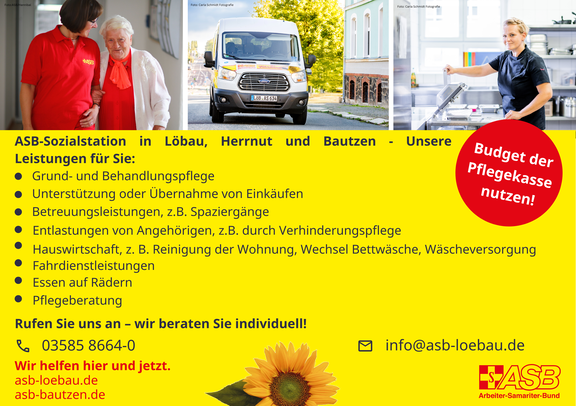 2025-07-17_A5quer_haushaltsnahe_Leistungen_SST.png 