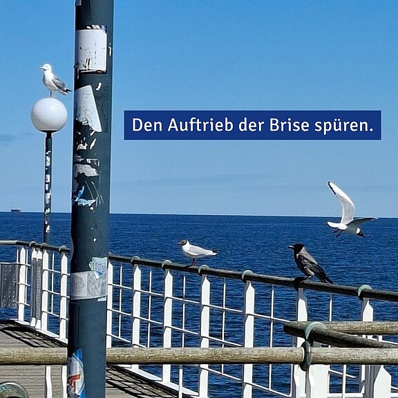 2026-05-19_Wünschefahrt_2.jpg