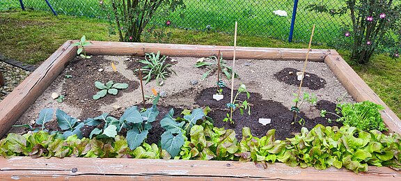 ASB_Löbau_SPH_Haus_am_Rosengarten_Nutzergarten_Hochbeet_1.jpg 